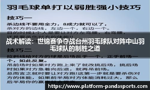 战术解读：世锦赛争夺战台州羽毛球队对阵中山羽毛球队的制胜之道