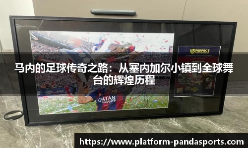 熊猫体育平台