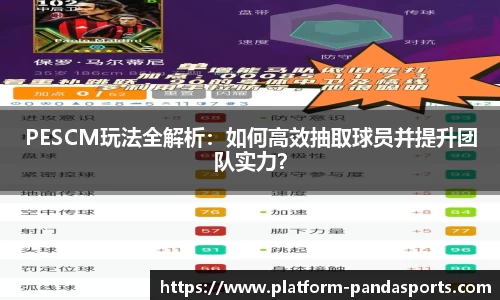 熊猫体育平台